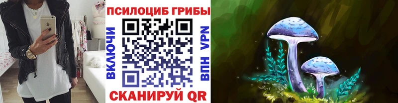 Галлюциногенные грибы Psilocybe  Краснотурьинск 